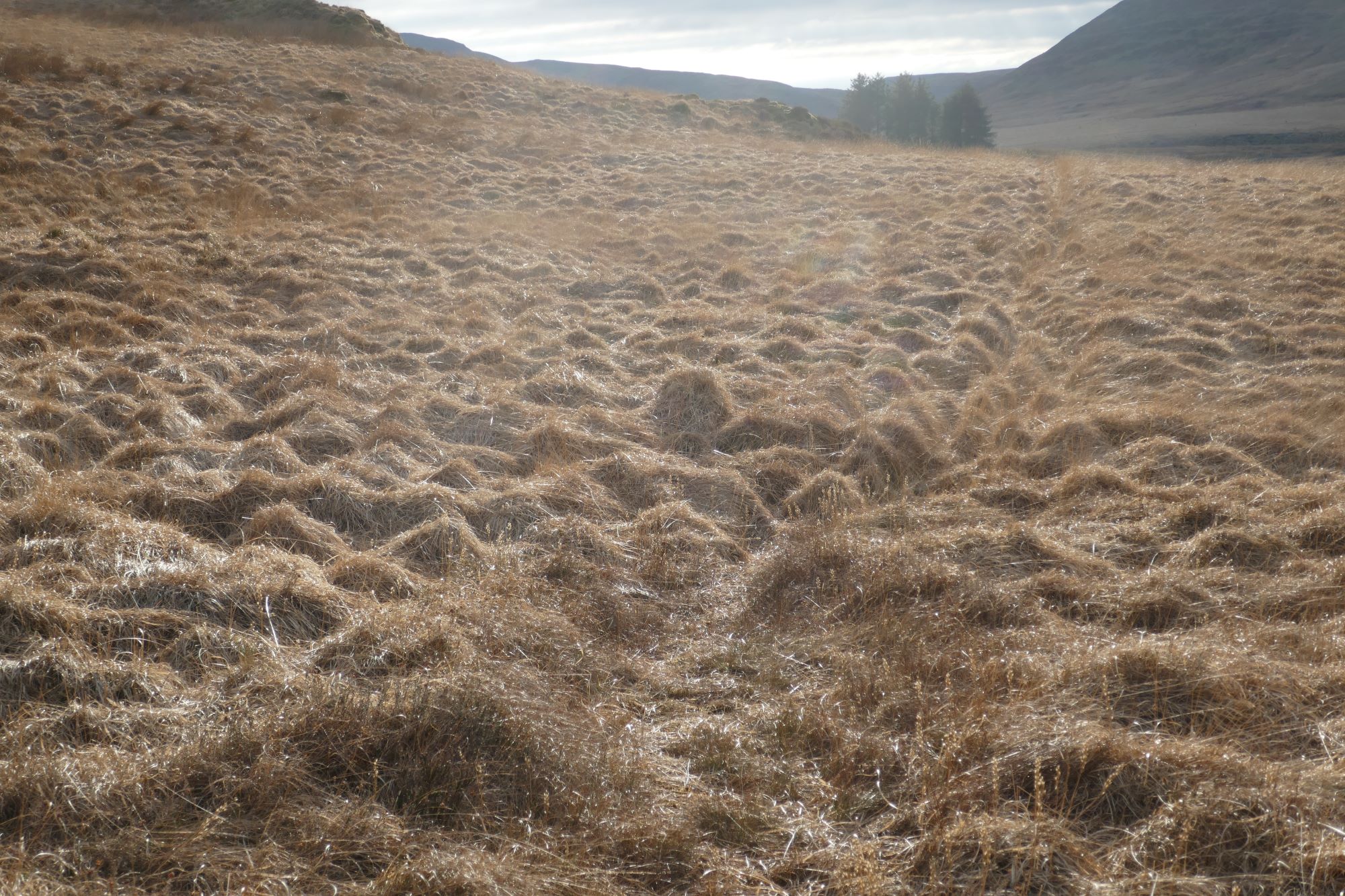 RachelSeabrook.net | Wild Walking | Cwm Gwerin | pic62